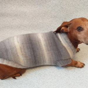 Как связать свитер для собаки  спицами, для начинающих, схемы, крючком - Это интересно