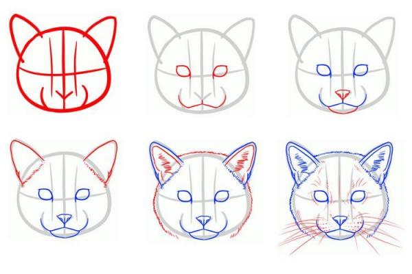 Рисунок морды кошки