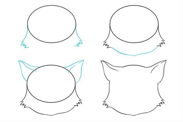 Пошаговое рисование морды кошки аниме