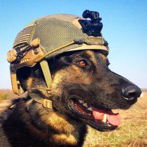 Сказка о собаке - Евгений Чарушин - Военная собака - с картинками читать онлайн