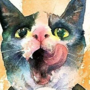 Морда кошки - рисунок карандашом, трафарет, фото, в профиль - Это интересно