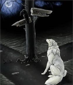 Сказка про волка: Как волк решил покаяться читать с картинками онлайн сказка о животных
