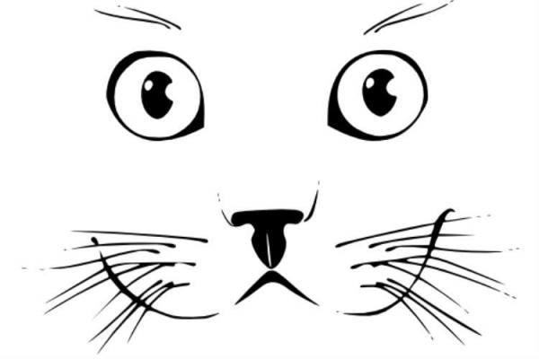 Морда кошки - рисунок карандашом, трафарет, фото, в профиль - Это интересно