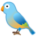 Сизый голубь- краткое описание и фото - для детей