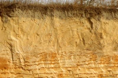 Как образуется почва (3 класс), гумус и минеральные соли по окружающему миру в кратком изложении