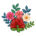 Шиповник; роза майская или коричная - краткое описание и фото - для детей