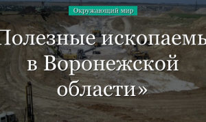 Полезные ископаемые в Воронежской области – список для доклада (4 класс, окружающий мир) в кратком изложении